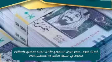 تحديث اليوم.. سعر الريال السعودي مقابل الجنيه المصري واستقرار ملحوظ في السوق الاثنين 18 أغسطس 2025